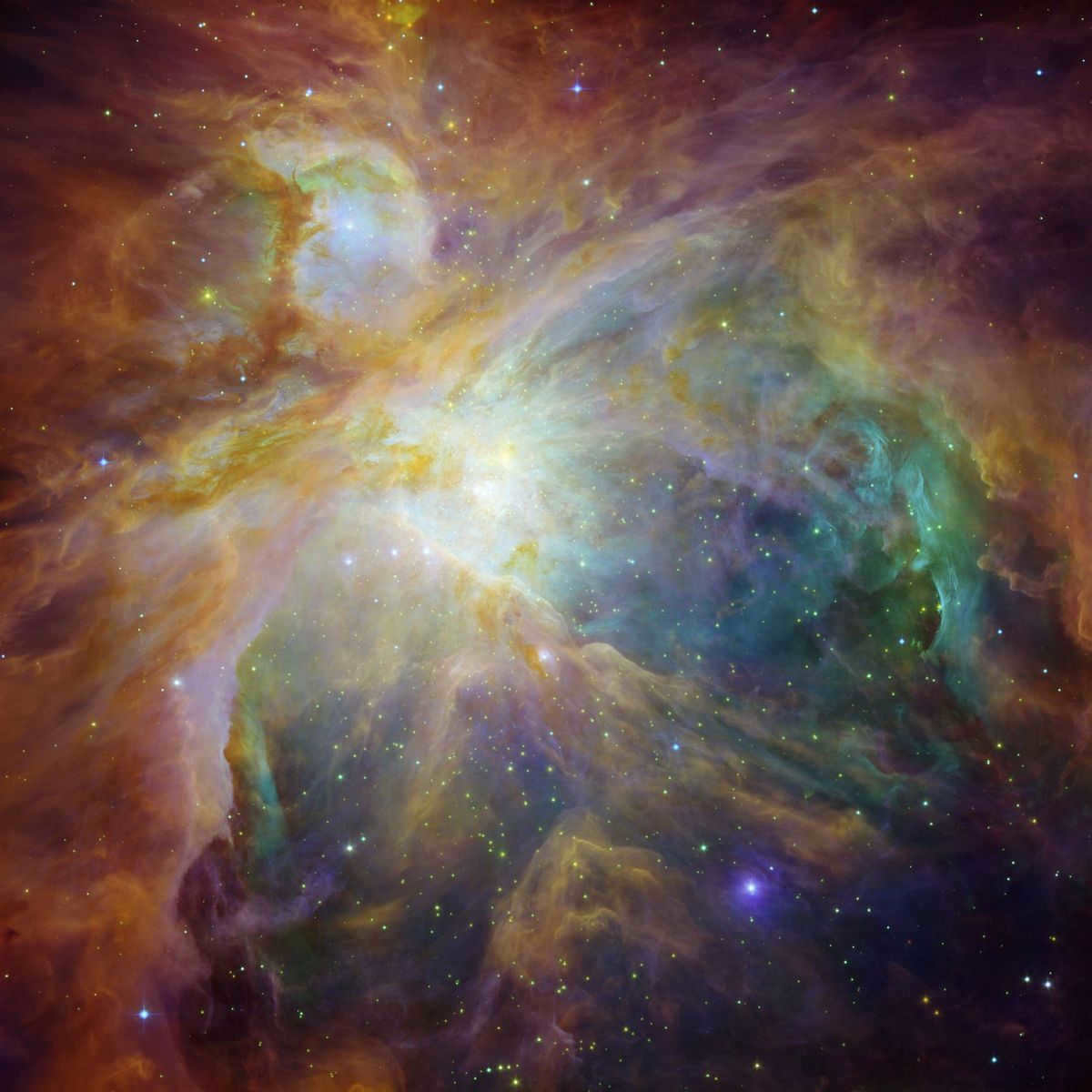 Combined infrared, ultraviolet and visible light image