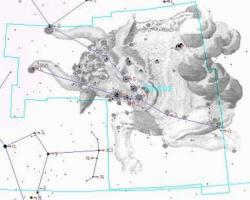 constellation Taurus