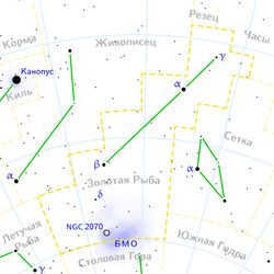 Constellation Goldfish