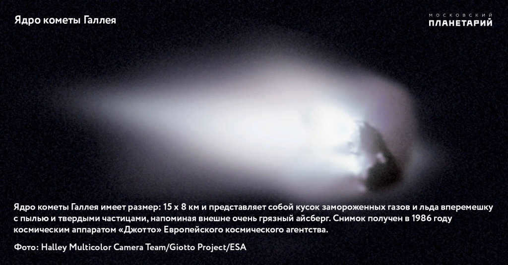 Halley's Comet
