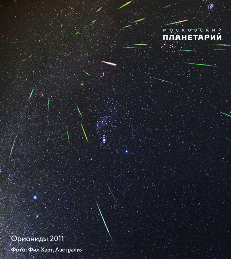 Orionids 2011