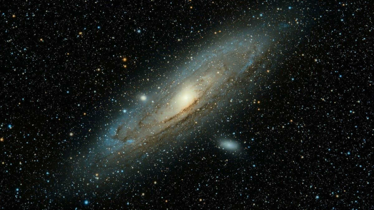 Cosmos