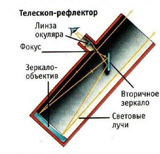 Tube section