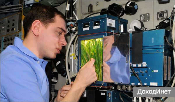 The profession of space biologist