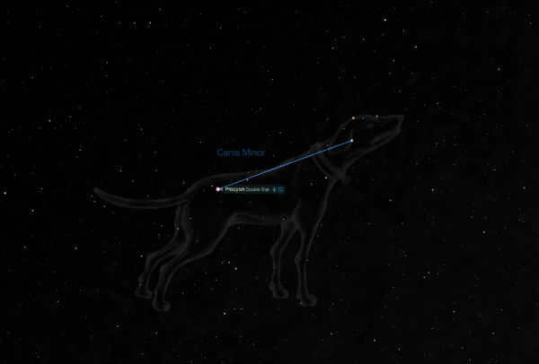 Procyon in the constellation of the Small Dog