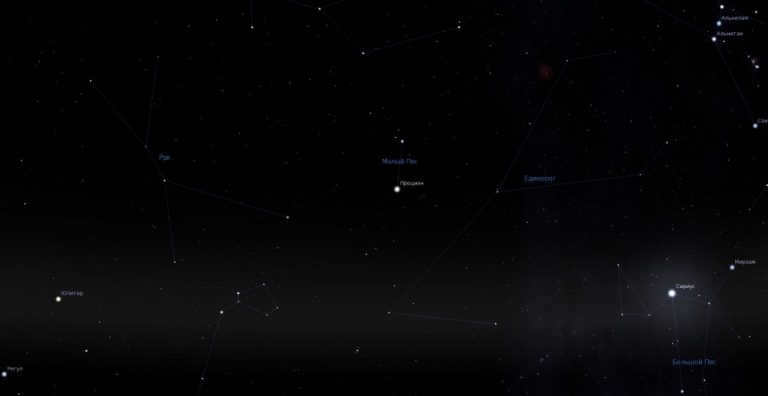 Procyon and the Lesser Dog in the sky