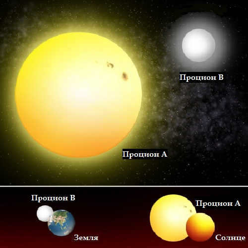 Procyon compared to the Sun and Earth 