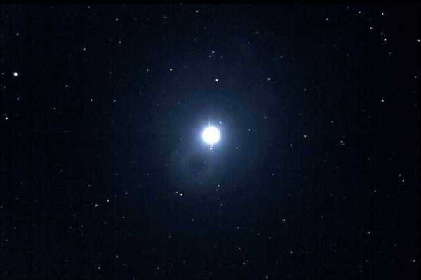 Vega
