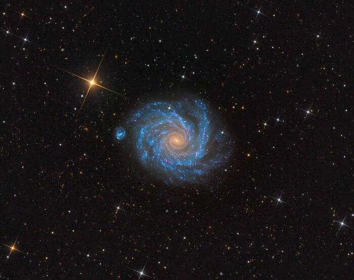 Incredible spiral galaxy NGC 1232 Galaxy, Universe, Cosmos, Astronomy, Light-year, Stars, Planet, Astrophoto