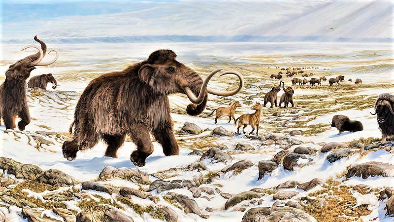 Cenozoic