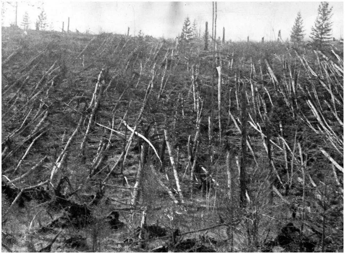 Fallen forest at the site of the Tunguska meteorite impact
