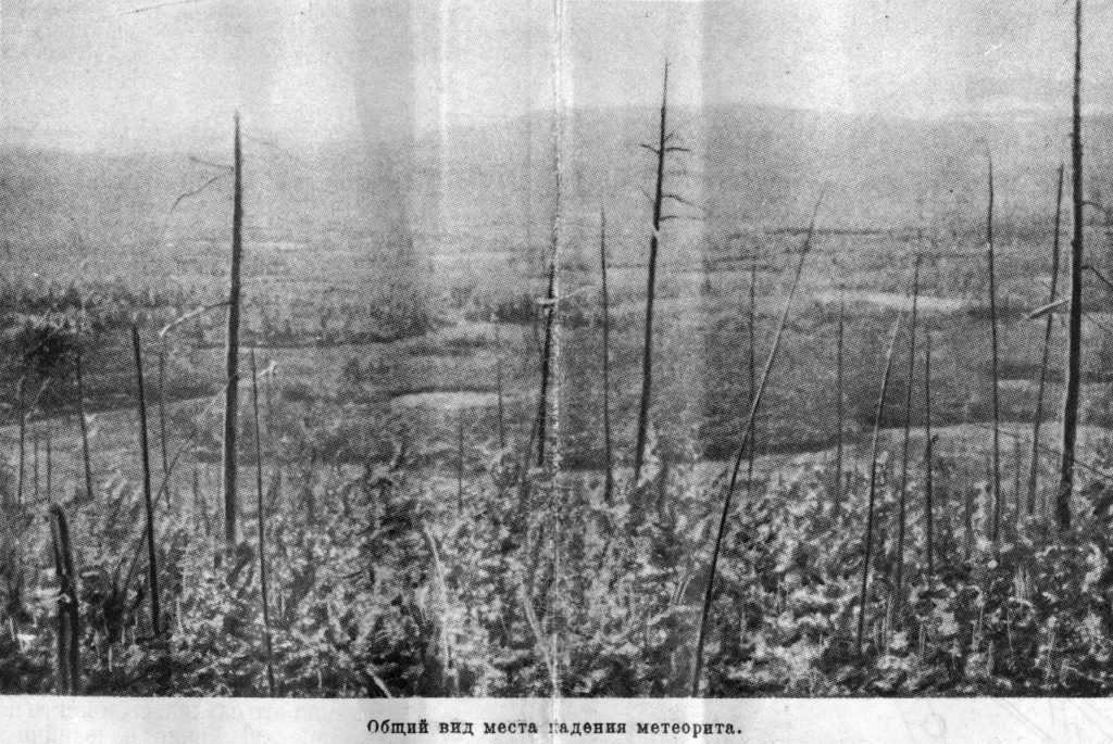 General view of the forest at the site of the meteorite impact