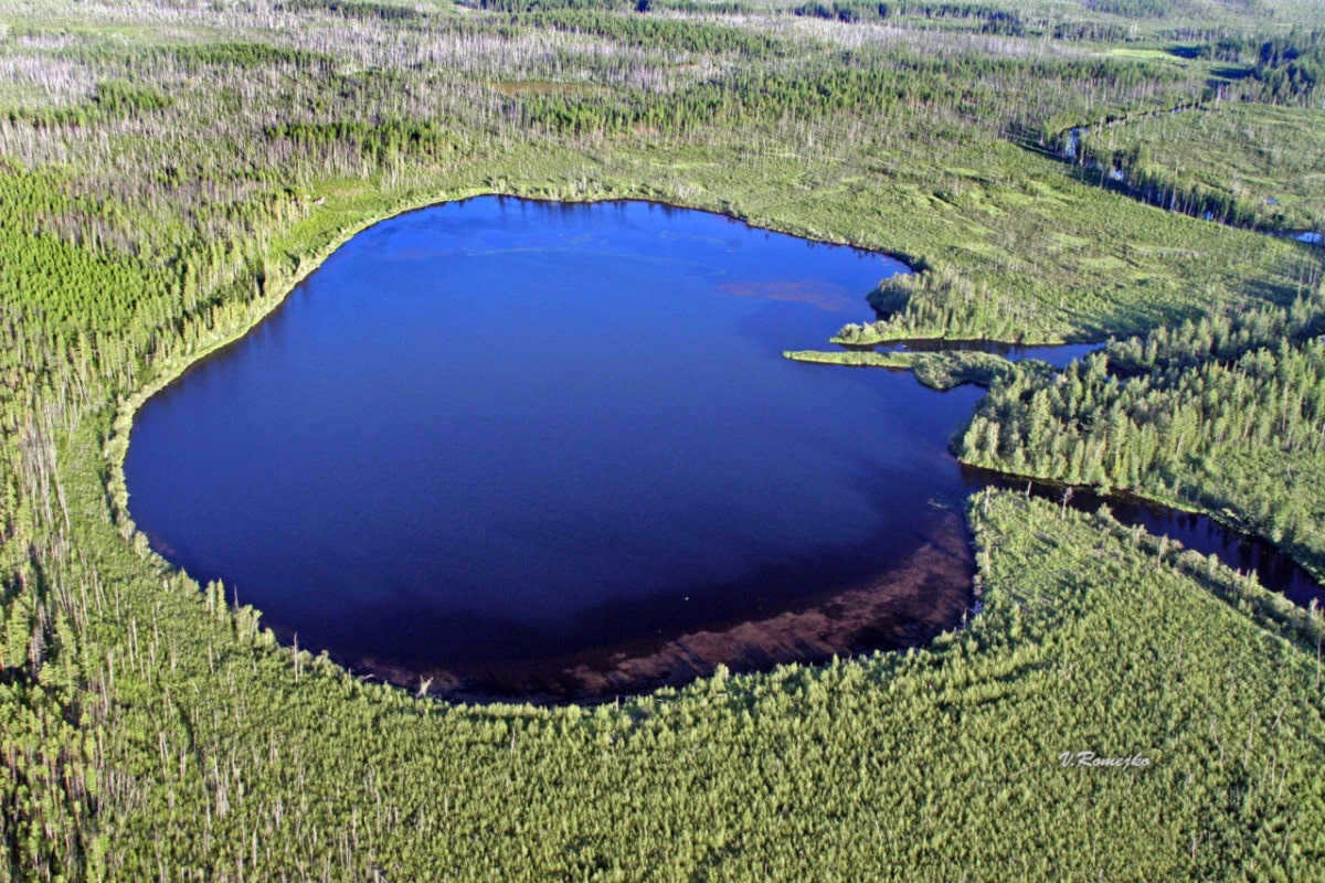 Tunguska meteorite impact site