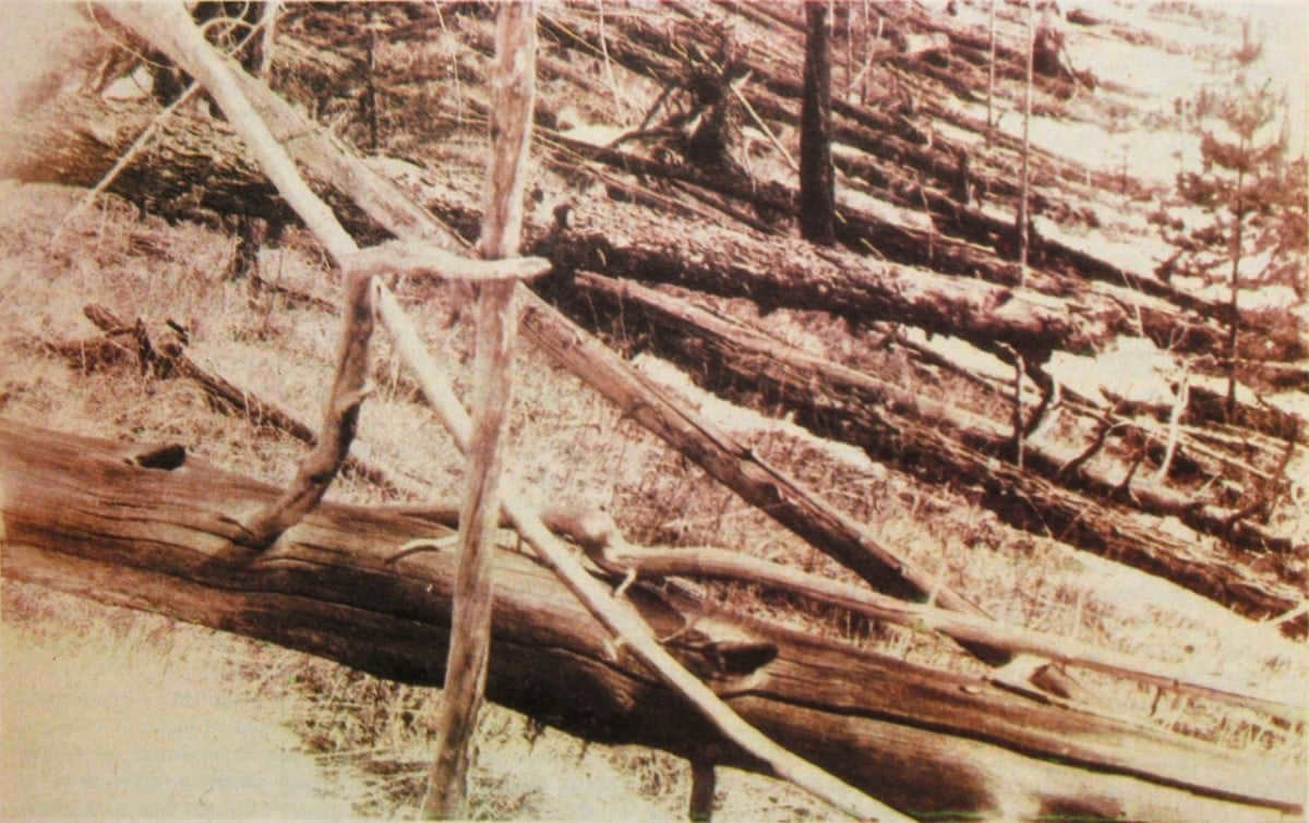 "Oreol burelom" in the area of the Tunguska event. Based on the expedition of L. Kulik, 1929