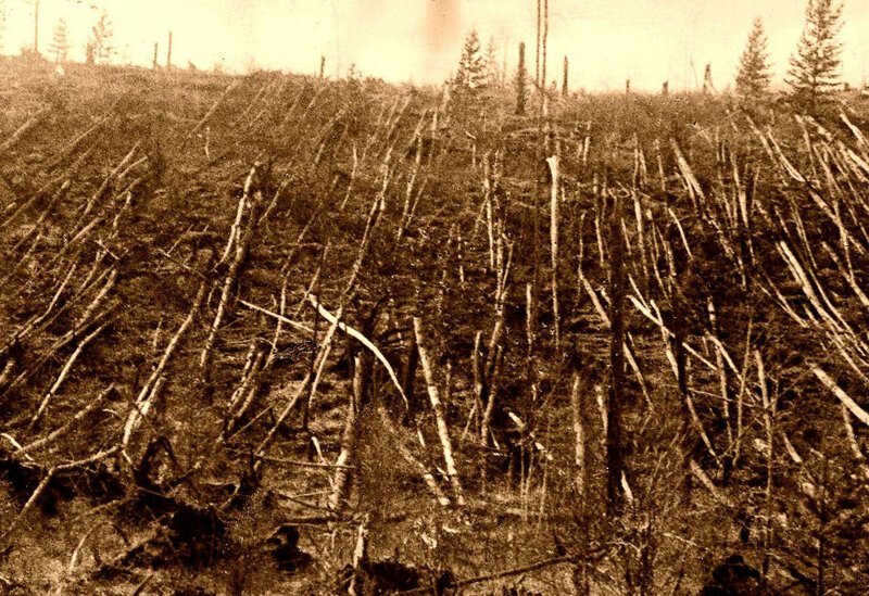6. Tunguska meteorite: the most "powerful" meteorite (Russia)
