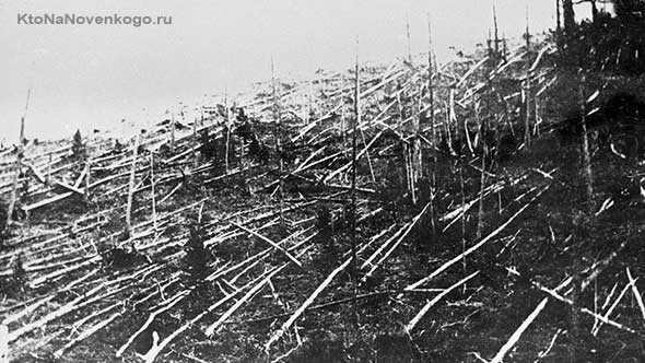 Tunguska meteorite