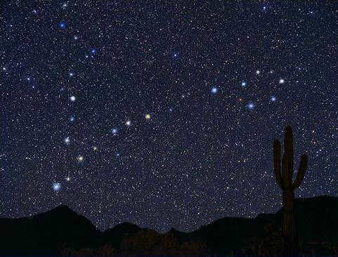 constellation of the zodiac sign Pisces