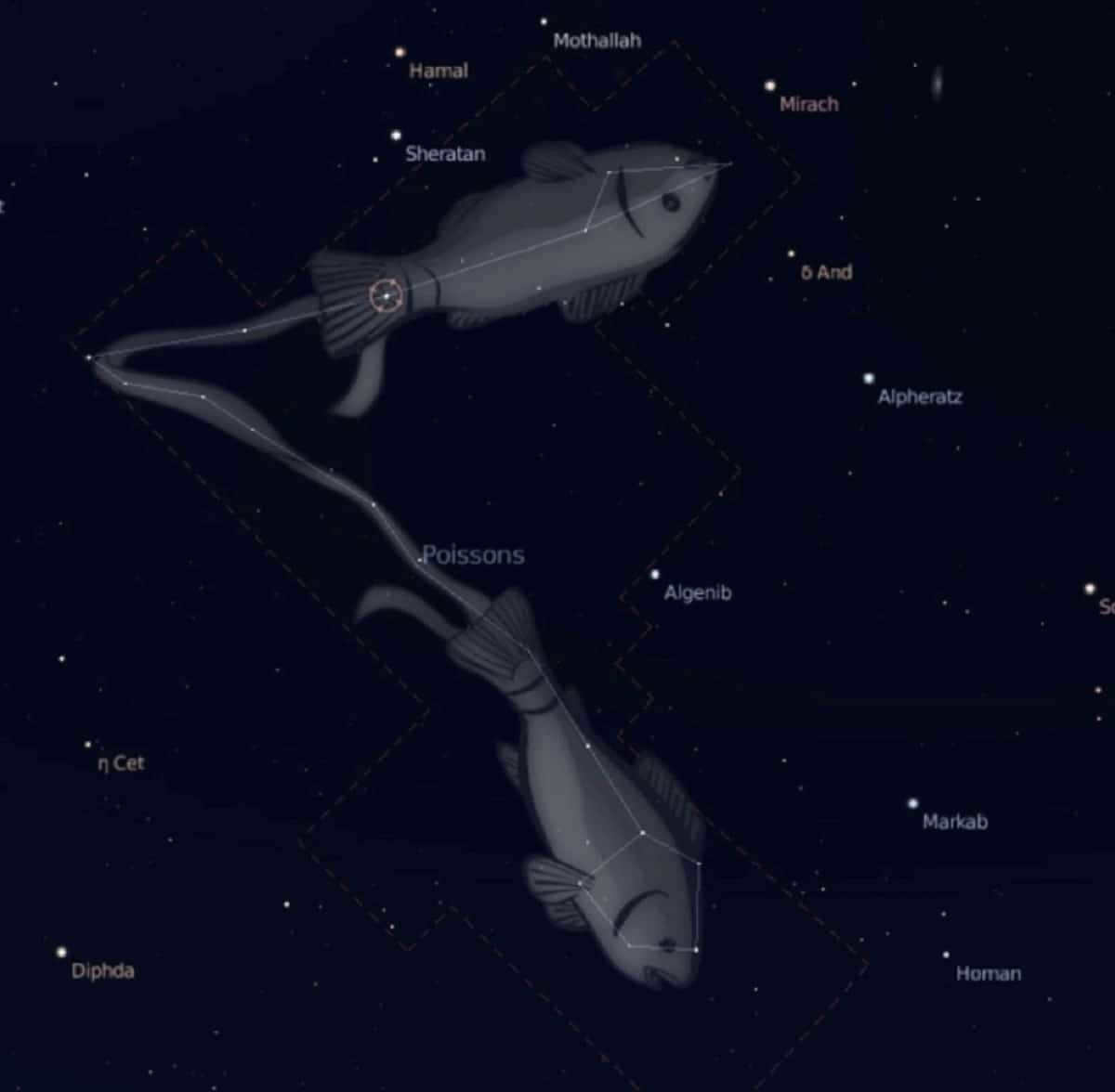 Pisces constellation