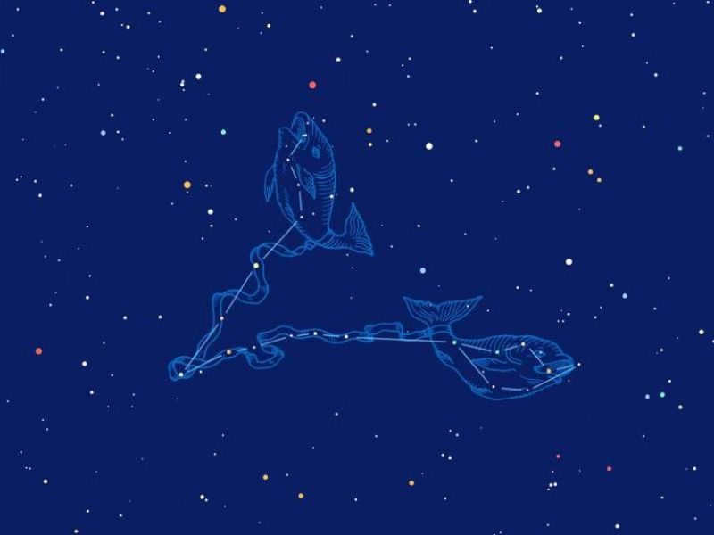 Pisces zodiac sign