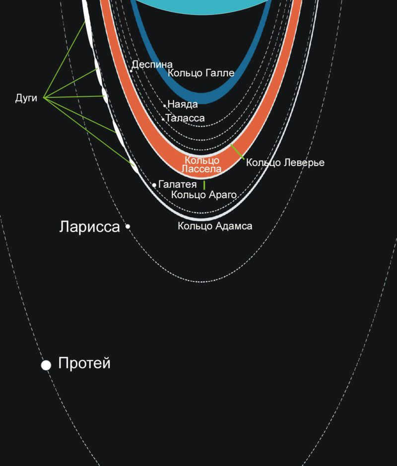 Scheme of satellites and rings of Neptune