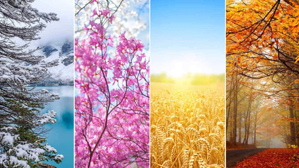 A visual representation of the seasons on Earth