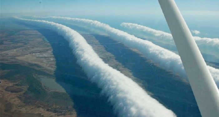 Morning Gloria, Australia