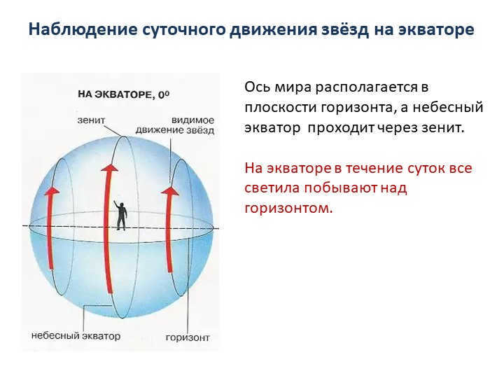 The axis of the world is located in the plane of the horizon, and the celestial equator passes che. 