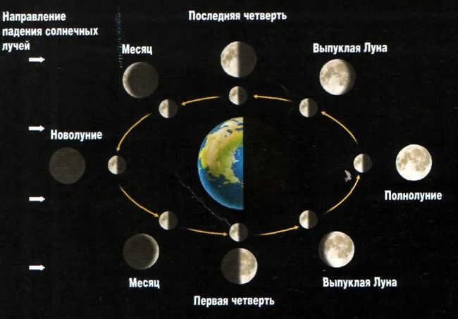 Which is bigger than the Earth or the Moon? Interesting facts about Earth's satellite