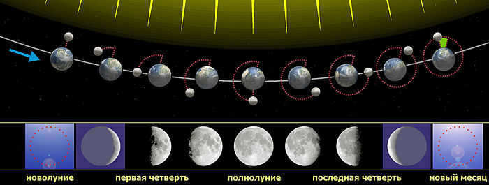 Which is bigger than the Earth or the Moon? Interesting facts about Earth's satellite