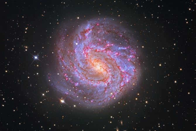 The Southern Spiral Galaxy.