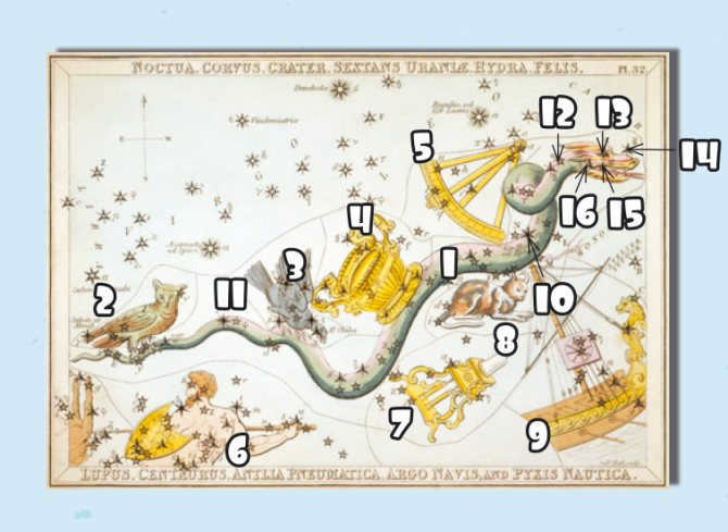 Stars and surroundings of the constellation Hydra