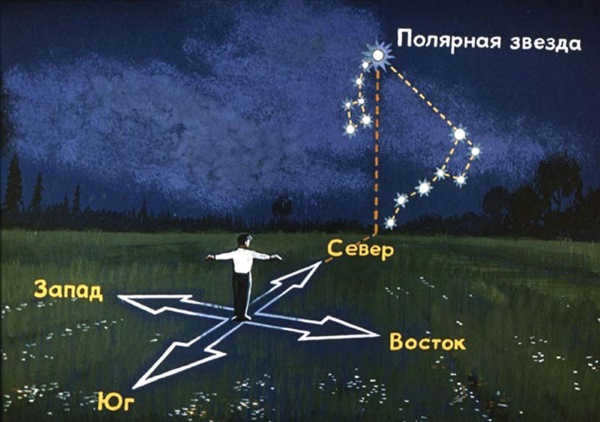 Night sky. Photo with stars, in the city, forest, mountains. Beautiful pictures from different parts of the world.
