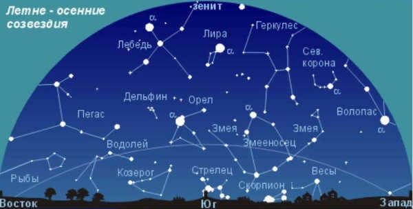 Night sky. Photo with stars, in the city, forest, mountains. Beautiful pictures from different parts of the world.