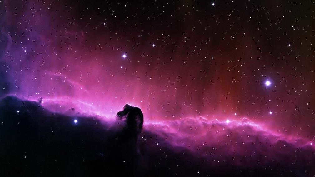 Horse's Head