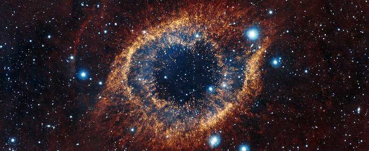 Living Universe