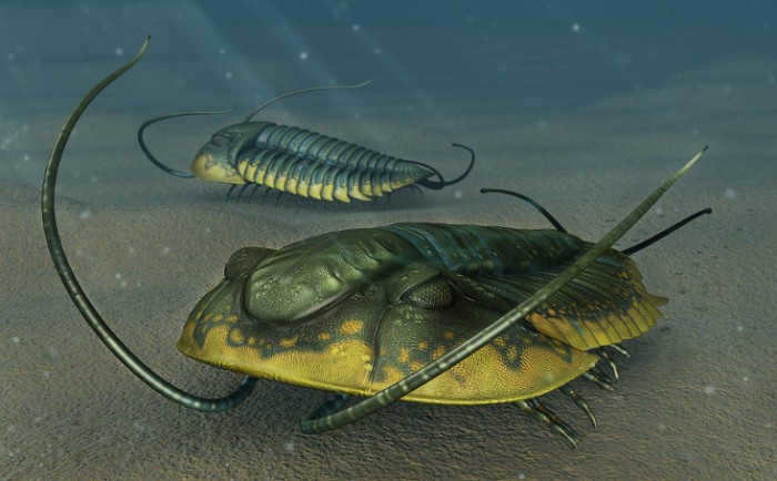 Originally, life had rather strange forms