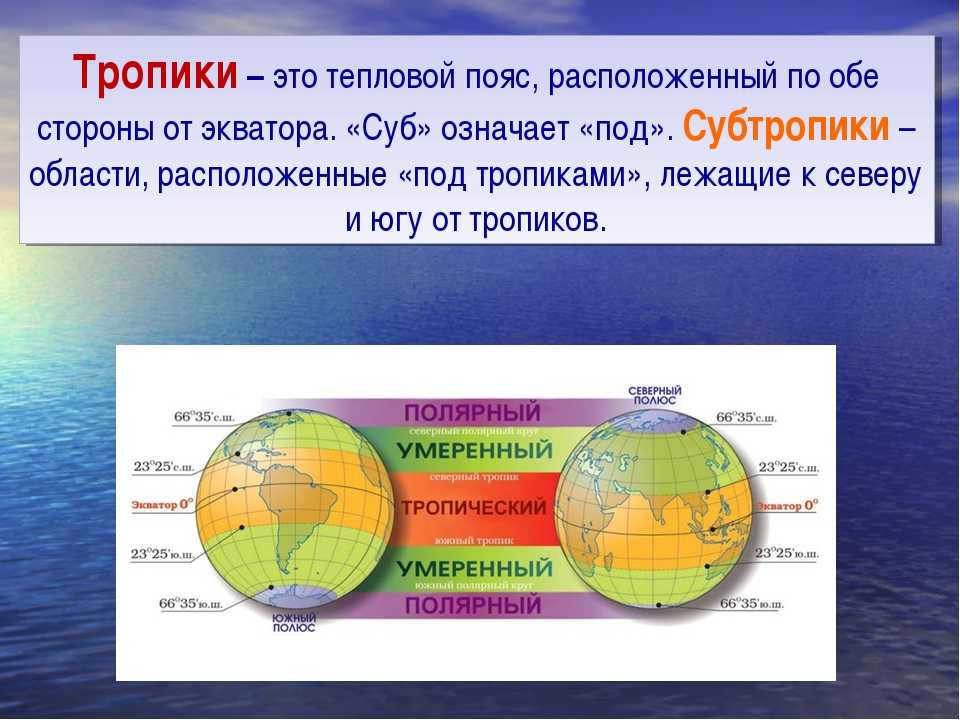 Message about the equator. what is the equator and what is its length? | interesting facts