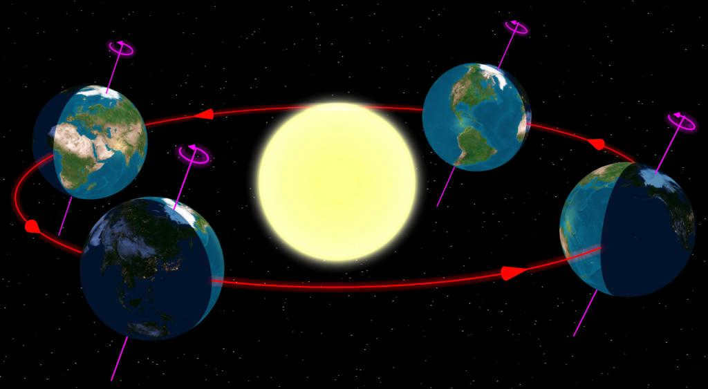 Orbit is