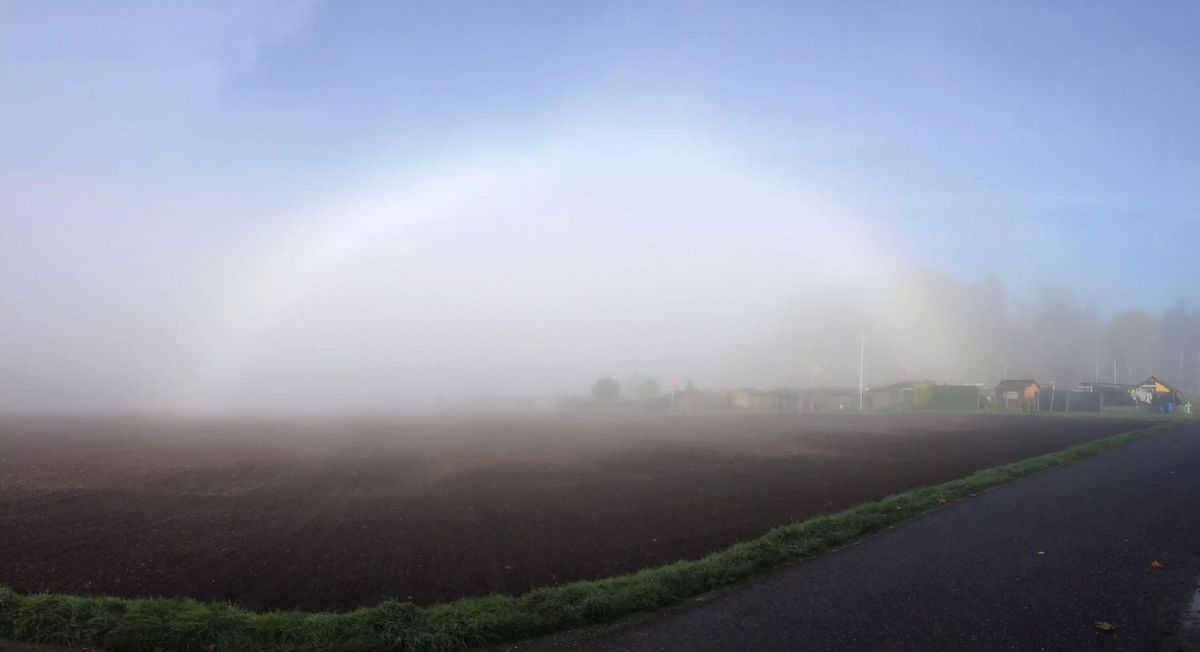 A misty rainbow