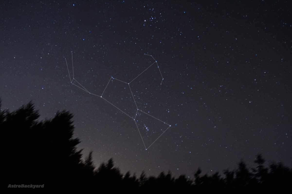 Report on "the starry sky the great book of nature"