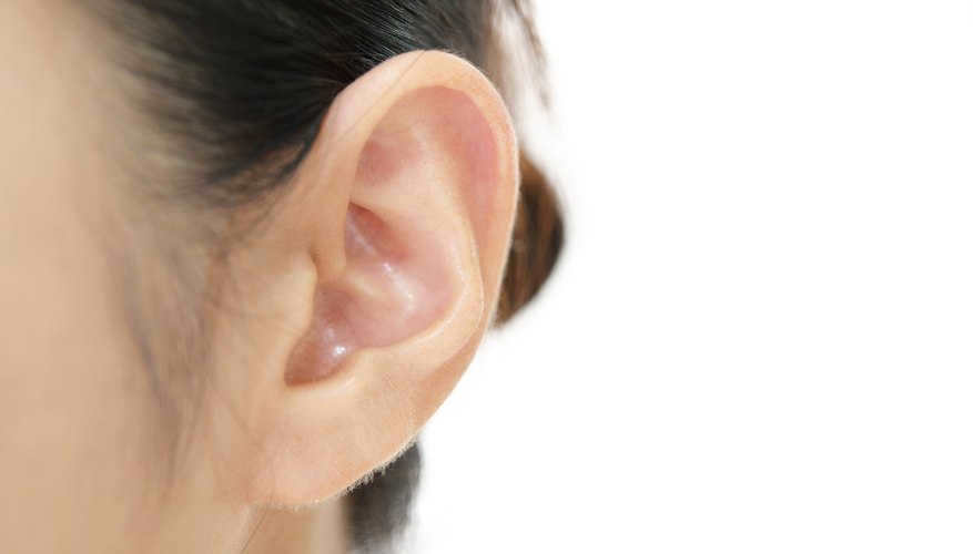 Where does collagen come from?