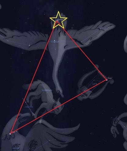 Swan constellation photo