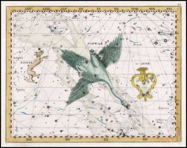 swan constellation legend