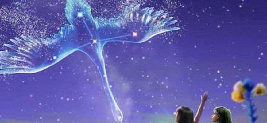 The constellation Swan and the star P of the Swan