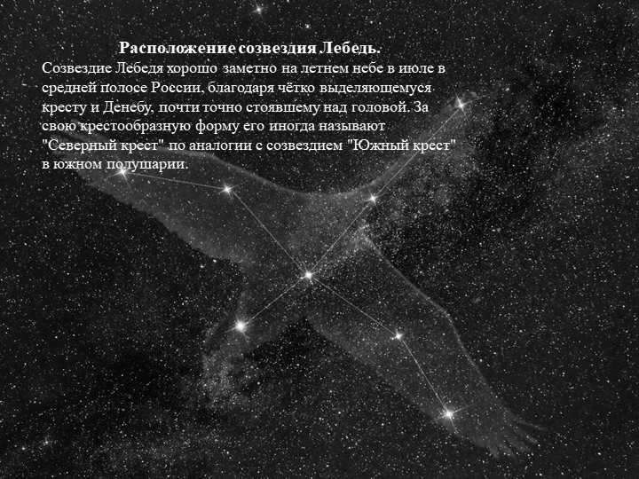 Location of the constellation Swan. The constellation Swan is clearly visible in the summer sky. 