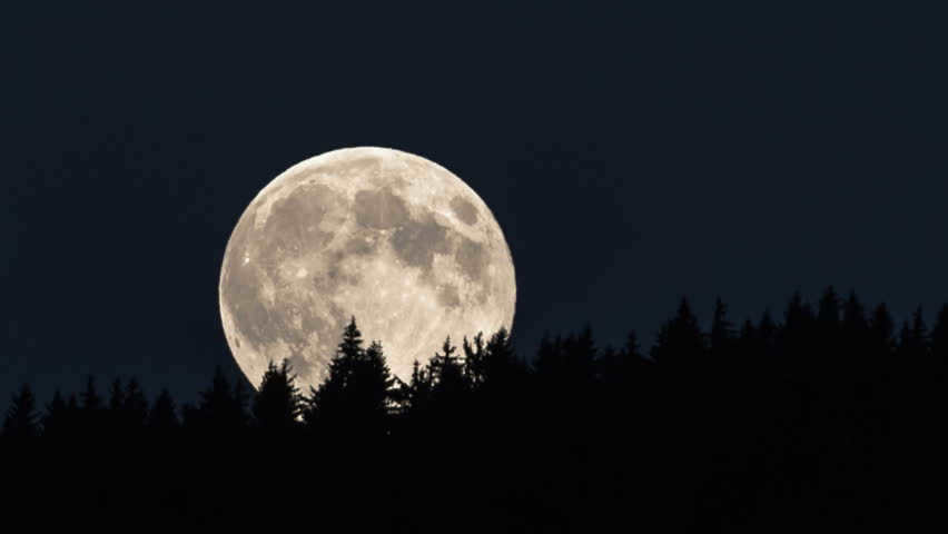 Moon rising above a forest