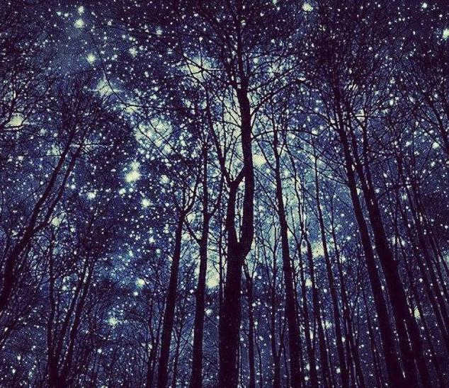 why stars shine at night
