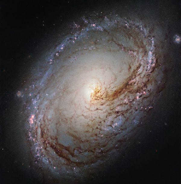 Galaxy M96