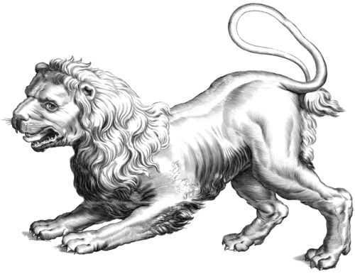 Leo-PNG-Clipart.png