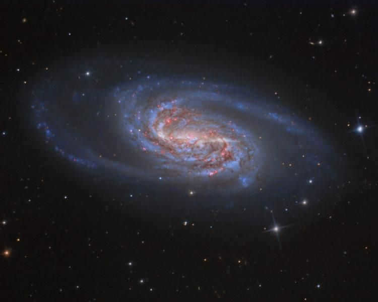 Galaxy NGC 2903